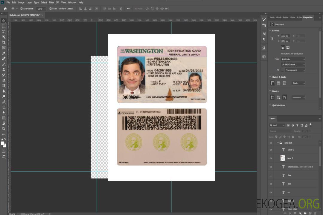 Carte d'identité des États-Unis à Washington 2022-présent template